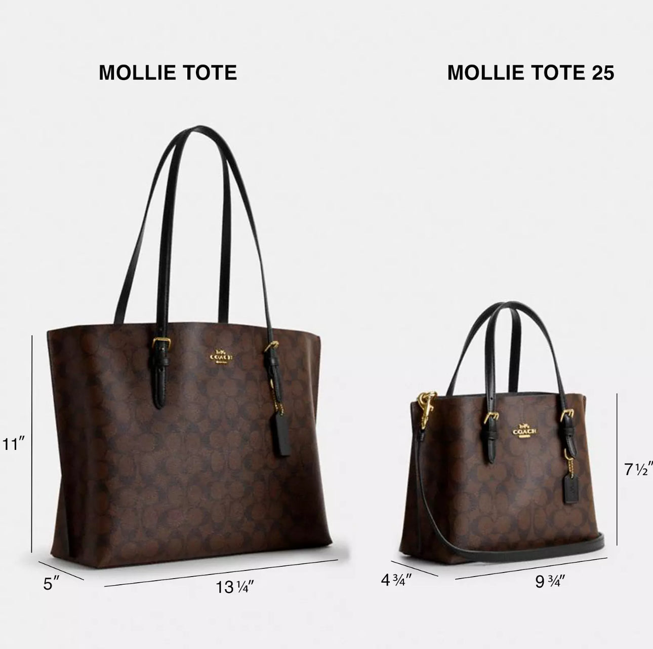 Coach Mollie 25 Tote