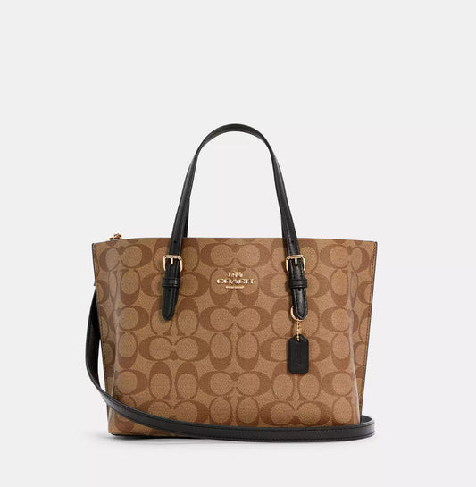 Coach Mollie 25 Tote